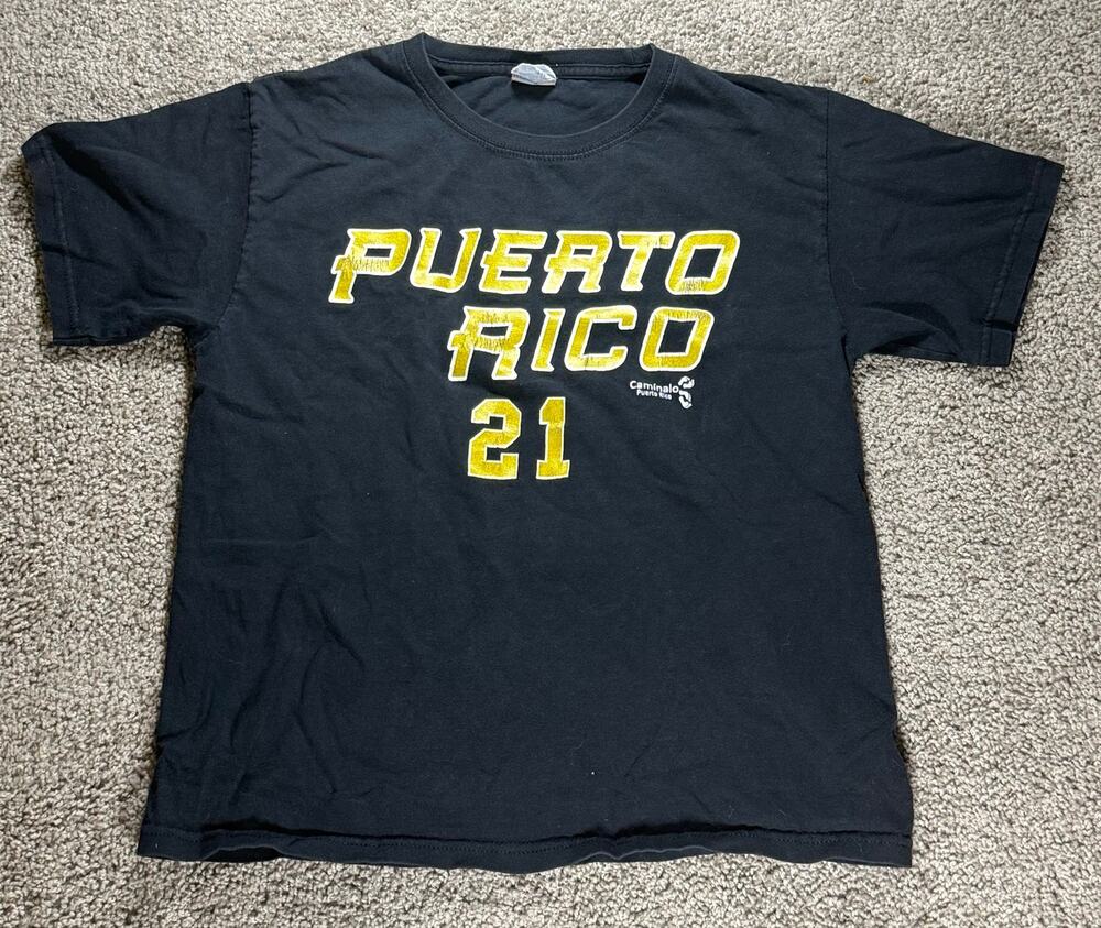 Puerto Rico 21 Caminalo Puerto Rico Graphic T-Shirt Boys Youth Large Black